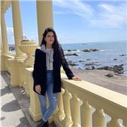 Matemáticas, química, física, biología, lengua, etc. (todas las materias hasta nivel ESO)